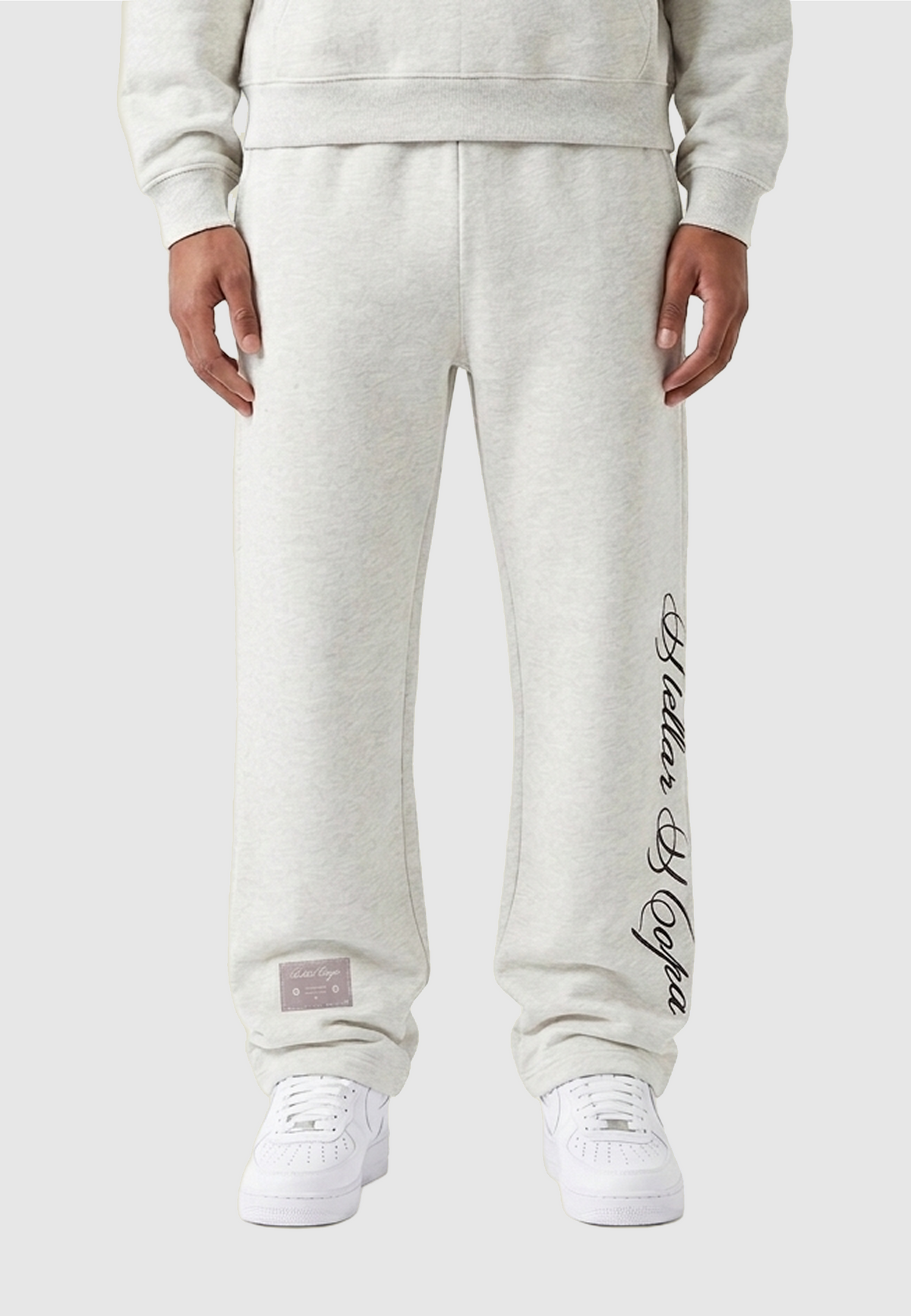 BF Jogger Grey - model