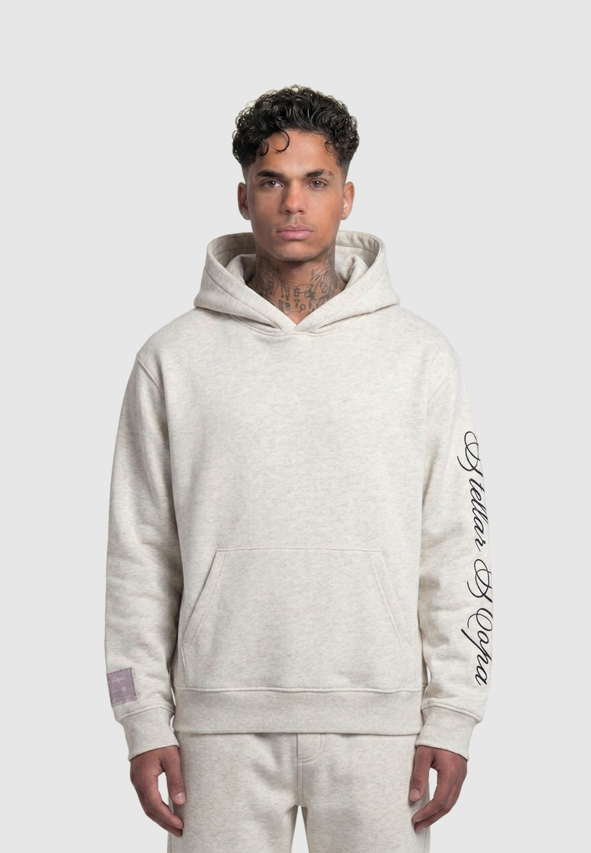 BF Hoodie Grey - model